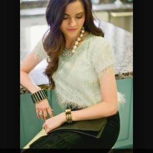 Ann Taylor Mint Green Top 0